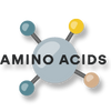 Amino acid vector image